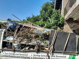 Shed Removal in Bee Cave, TX